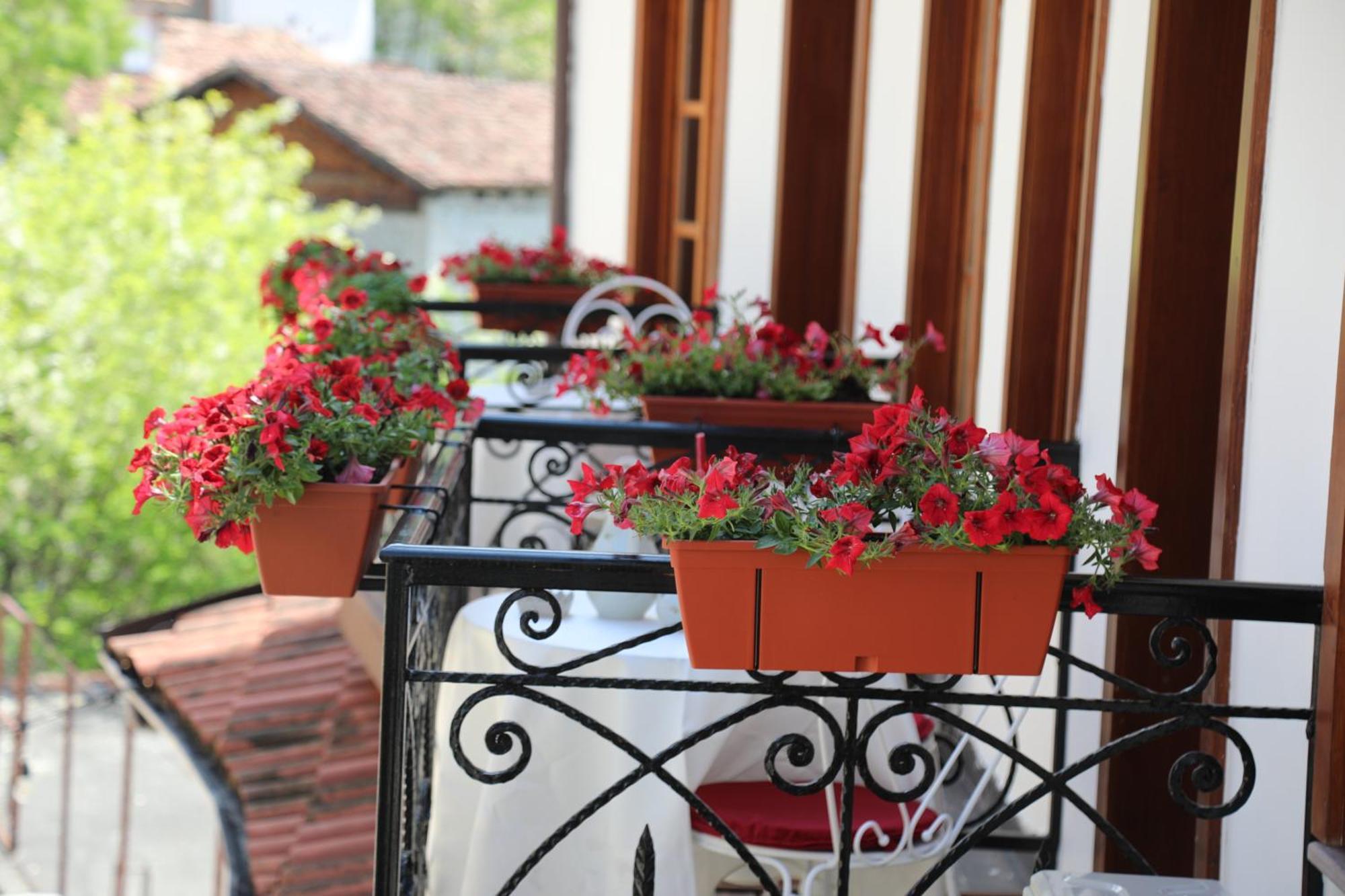 Villa Castriota Kruje Ngoại thất bức ảnh
